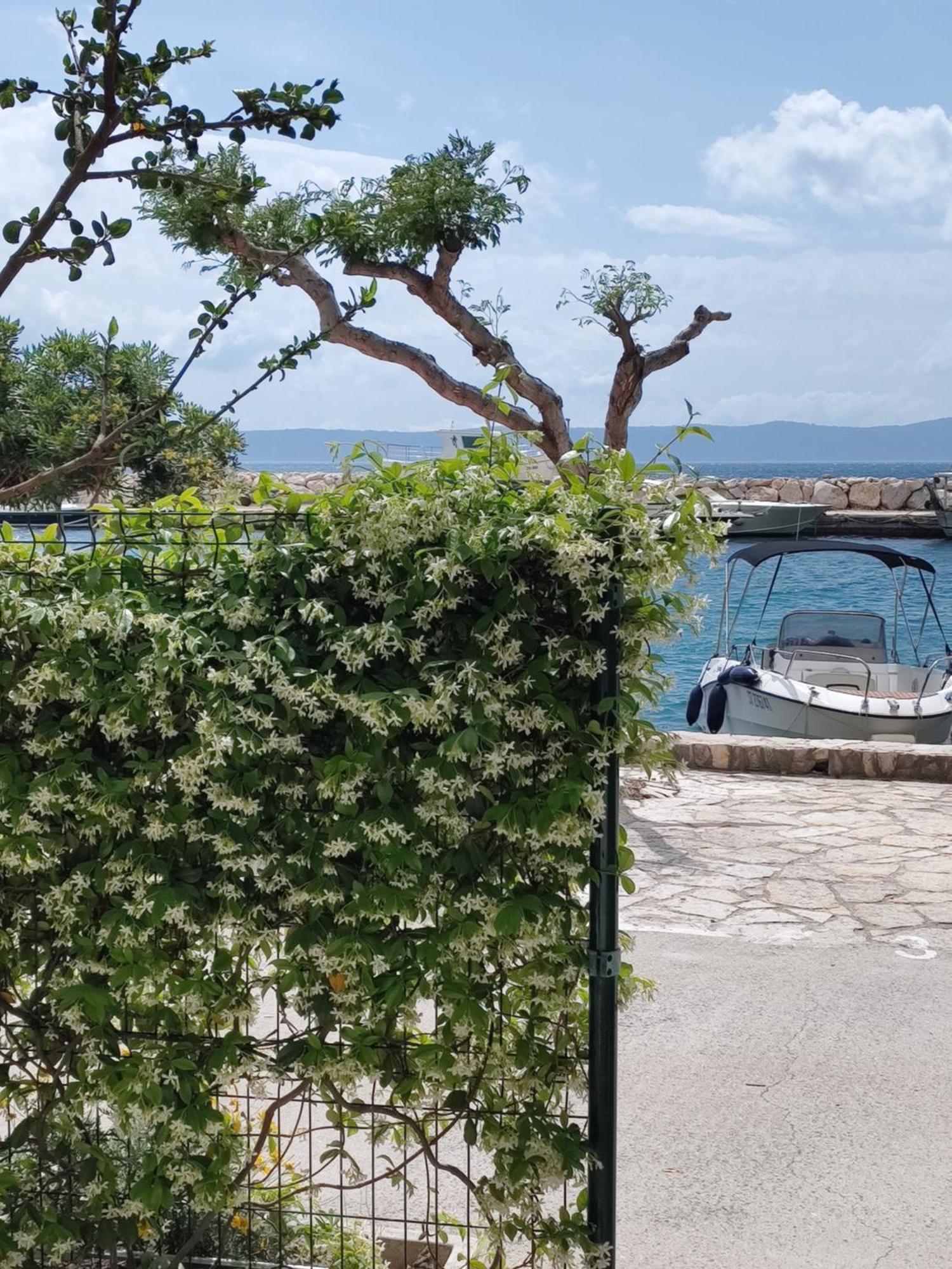 Apartmani Ines Drasnice Exterior foto